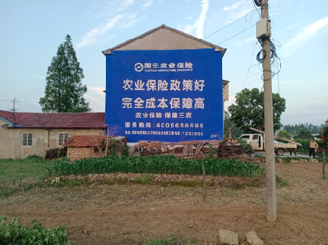 瑞安墙体广告为何受追捧?