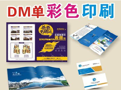 瑞安单页印刷，色彩搭配简单。